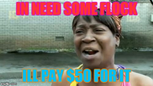 Ain't Nobody Got Time For That Meme | IN NEED SOME FLOCK ILL PAY $50 FOR IT | image tagged in memes,aint nobody got time for that | made w/ Imgflip meme maker