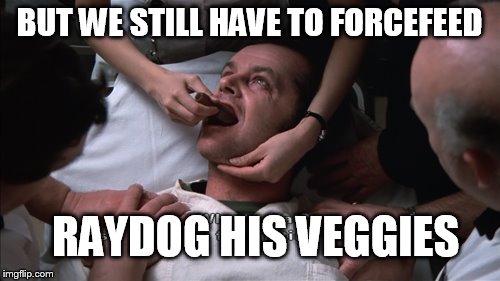 BUT WE STILL HAVE TO FORCEFEED RAYDOG HIS VEGGIES | made w/ Imgflip meme maker