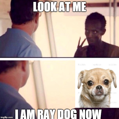 Dont worry ill take you're place while you're gone. | LOOK AT ME I AM RAY DOG NOW | image tagged in memes,captain phillips - i'm the captain now,raydog | made w/ Imgflip meme maker