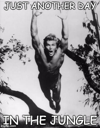 Denny Miller Leaping Tarzan Happy Birthday | JUST ANOTHER DAY IN THE JUNGLE | image tagged in denny miller leaping tarzan happy birthday | made w/ Imgflip meme maker