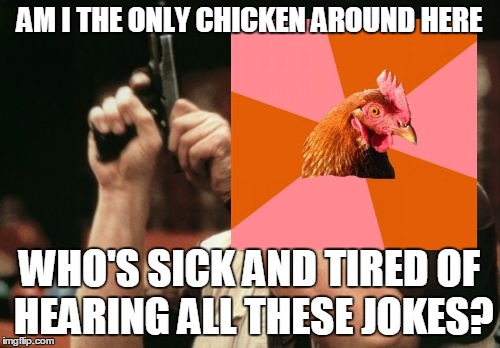 Am I The Only One Around Here Meme | AM I THE ONLY CHICKEN AROUND HERE WHO'S SICK AND TIRED OF HEARING ALL THESE JOKES? | image tagged in memes,am i the only one around here | made w/ Imgflip meme maker