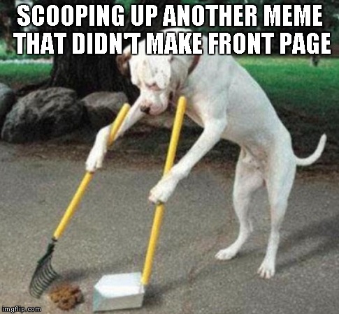 SCOOPING UP ANOTHER MEME THAT DIDN'T MAKE FRONT PAGE | made w/ Imgflip meme maker