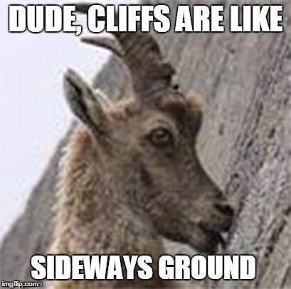 DUDE, CLIFFS ARE LIKE SIDEWAYS GROUND | made w/ Imgflip meme maker