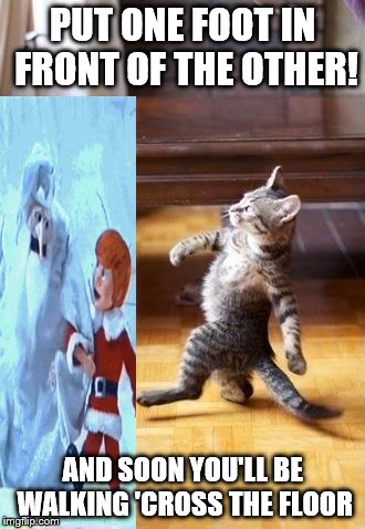 Cool Cat Stroll Meme | PUT ONE FOOT IN FRONT OF THE OTHER! AND SOON YOU'LL BE WALKING 'CROSS THE FLOOR | image tagged in memes,cool cat stroll | made w/ Imgflip meme maker