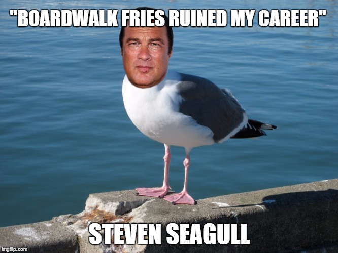 steven seagull | "BOARDWALK FRIES RUINED MY CAREER" STEVEN SEAGULL | image tagged in seagull | made w/ Imgflip meme maker