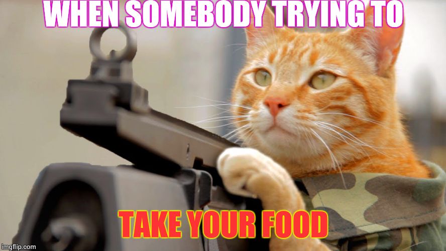 Put the food down | WHEN SOMEBODY TRYING TO TAKE YOUR FOOD | image tagged in put the food down | made w/ Imgflip meme maker