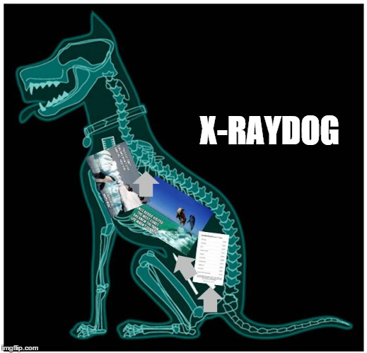 Full of original memes, leaderboard dominance and upvotes up the ass | X-RAYDOG | image tagged in xraydog,raydog,memes,meme | made w/ Imgflip meme maker