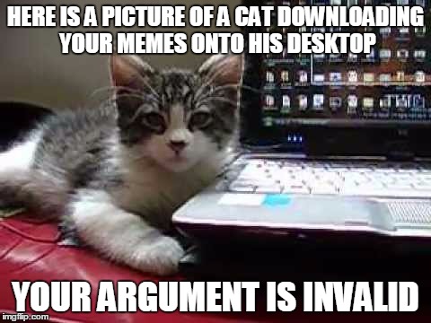 Meme Kitty Returns | HERE IS A PICTURE OF A CAT DOWNLOADING YOUR MEMES ONTO HIS DESKTOP YOUR ARGUMENT IS INVALID | image tagged in funny,memes,cat,your argument is invalid,you wouldnt download a | made w/ Imgflip meme maker