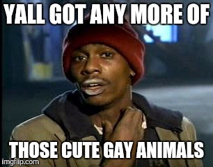 Y'all Got Any More Of That | YALL GOT ANY MORE OF THOSE CUTE GAY ANIMALS | image tagged in memes,yall got any more of | made w/ Imgflip meme maker