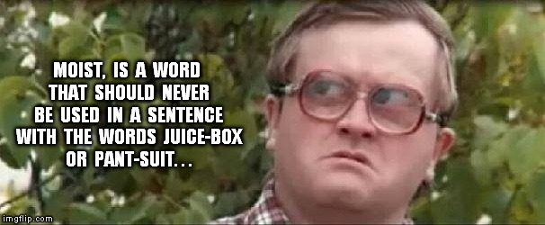 MOIST,  IS  A  WORD  THAT  SHOULD  NEVER  BE  USED  IN  A  SENTENCE  WITH  THE  WORDS  JUICE-BOX  OR  PANT-SUIT. . . | image tagged in trailer park boys bubbles | made w/ Imgflip meme maker