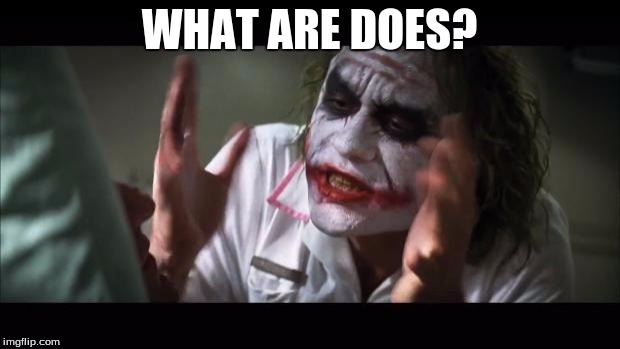 And everybody loses their minds | WHAT ARE DOES? | image tagged in memes,and everybody loses their minds | made w/ Imgflip meme maker