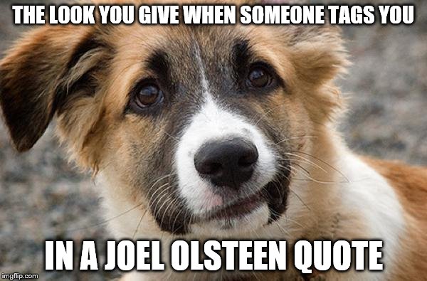 confused dog | THE LOOK YOU GIVE WHEN SOMEONE TAGS YOU IN A JOEL OLSTEEN QUOTE | image tagged in confused dog | made w/ Imgflip meme maker