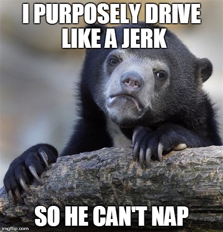 Confession Bear Meme | I PURPOSELY DRIVE LIKE A JERK SO HE CAN'T NAP | image tagged in memes,confession bear,AdviceAnimals | made w/ Imgflip meme maker