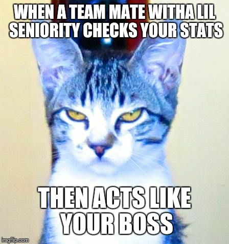 Displeased Cat | WHEN A TEAM MATE WITHA LIL SENIORITY CHECKS YOUR STATS THEN ACTS LIKE YOUR BOSS | image tagged in displeased cat | made w/ Imgflip meme maker