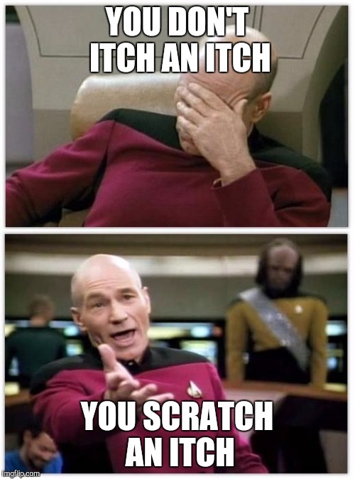 Picard frustrated | YOU DON'T ITCH AN ITCH YOU SCRATCH AN ITCH | image tagged in picard frustrated | made w/ Imgflip meme maker