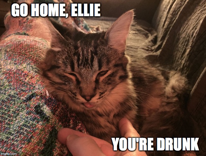 GO HOME, ELLIE YOU'RE DRUNK | image tagged in go home,ellie | made w/ Imgflip meme maker