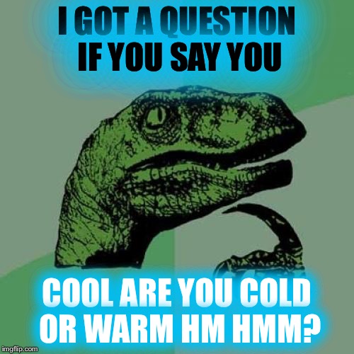 Philosoraptor Meme | I GOT A QUESTION IF
YOU SAY YOU COOL ARE YOU COLD OR WARM HM HMM? | image tagged in memes,philosoraptor | made w/ Imgflip meme maker