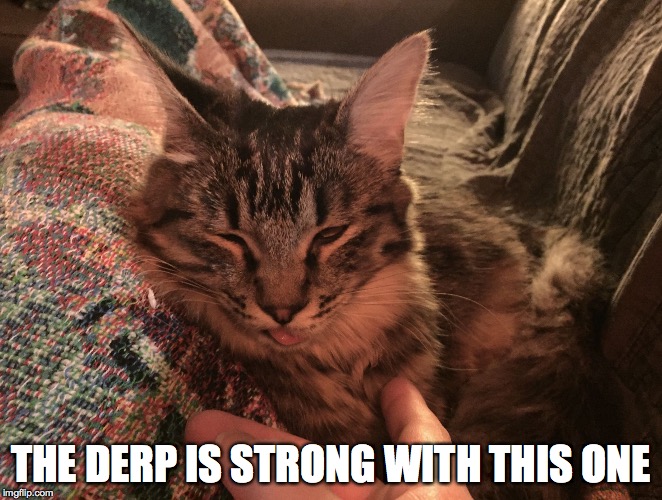 THE DERP IS STRONG WITH THIS ONE | image tagged in derp is strong | made w/ Imgflip meme maker