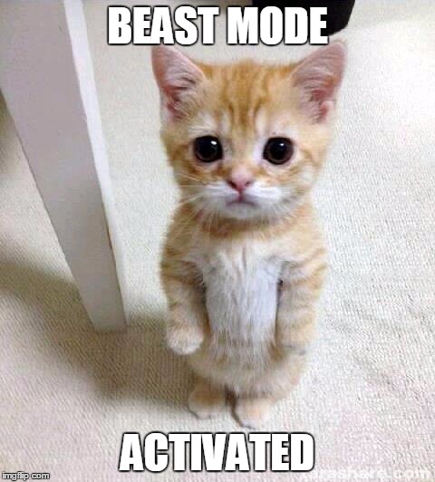 Cute Cat | BEAST MODE ACTIVATED | image tagged in memes,cute cat | made w/ Imgflip meme maker
