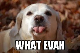 WHAT EVAH | made w/ Imgflip meme maker