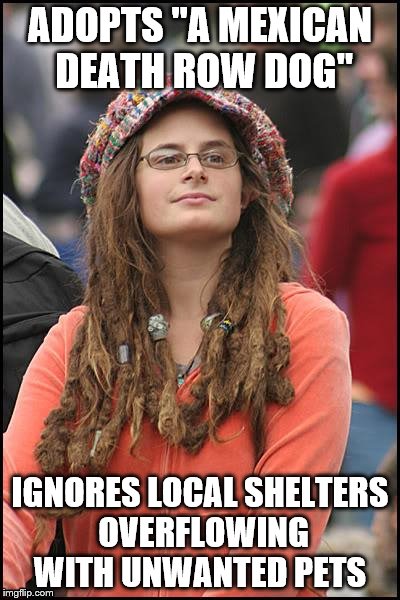 This is a real hot button issue in Vancouver right now. | ADOPTS "A MEXICAN DEATH ROW DOG" IGNORES LOCAL SHELTERS OVERFLOWING WITH UNWANTED PETS | image tagged in memes,college liberal | made w/ Imgflip meme maker