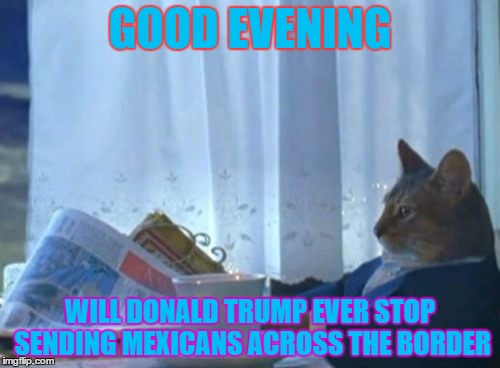 I Should Buy A Boat Cat Meme | GOOD EVENING WILL DONALD TRUMP EVER STOP SENDING MEXICANS ACROSS THE BORDER | image tagged in memes,i should buy a boat cat | made w/ Imgflip meme maker