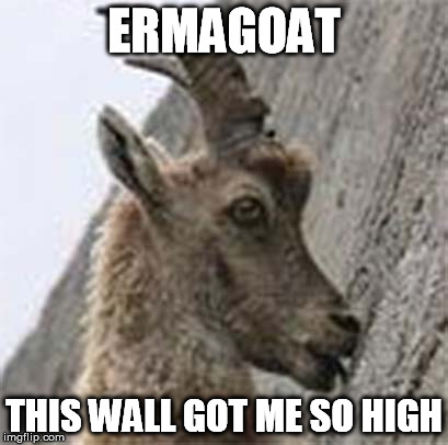 10 Goat | ERMAGOAT THIS WALL GOT ME SO HIGH | image tagged in 10 guy goat,memes,stoned,wall,goat,licking | made w/ Imgflip meme maker