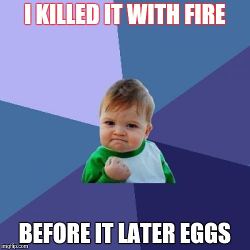 Success Kid Meme | I KILLED IT WITH FIRE BEFORE IT LATER EGGS | image tagged in memes,success kid | made w/ Imgflip meme maker