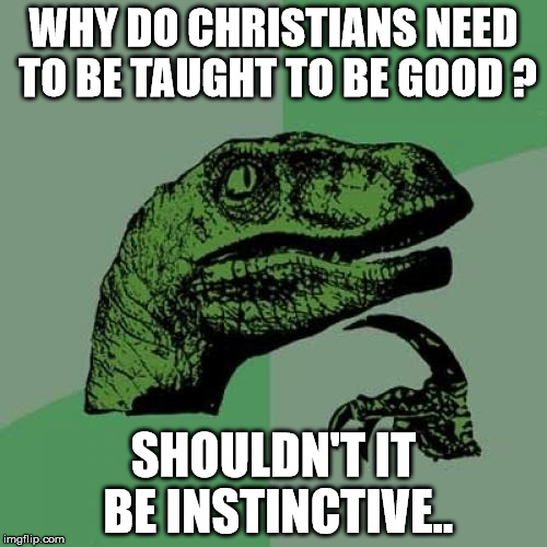 Philosoraptor | WHY DO CHRISTIANS NEED TO BE TAUGHT TO BE GOOD ? SHOULDN'T IT BE INSTINCTIVE.. | image tagged in memes,philosoraptor | made w/ Imgflip meme maker