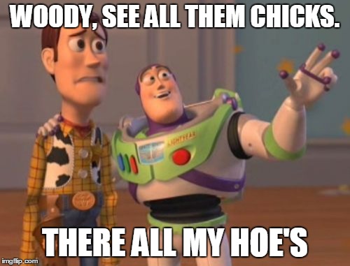 X, X Everywhere Meme | WOODY, SEE ALL THEM CHICKS. THERE ALL MY HOE'S | image tagged in memes,x x everywhere | made w/ Imgflip meme maker