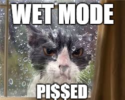 WET MODE PI$$ED | image tagged in cat rain window | made w/ Imgflip meme maker