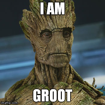 I am Groot | I AM GROOT | image tagged in i am groot | made w/ Imgflip meme maker