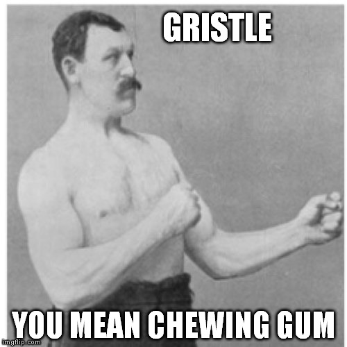 Overly Manly Man Meme | GRISTLE YOU MEAN CHEWING GUM | image tagged in memes,overly manly man | made w/ Imgflip meme maker
