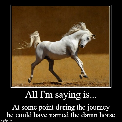 The horse with no name. | image tagged in funny,demotivationals | made w/ Imgflip demotivational maker