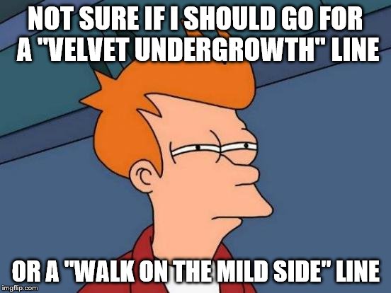 Futurama Fry Meme | NOT SURE IF I SHOULD GO FOR A "VELVET UNDERGROWTH" LINE OR A "WALK ON THE MILD SIDE" LINE | image tagged in memes,futurama fry | made w/ Imgflip meme maker
