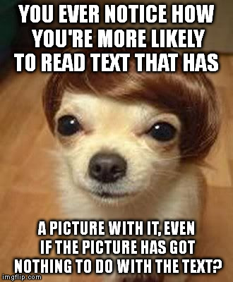 Funny that | YOU EVER NOTICE HOW YOU'RE MORE LIKELY TO READ TEXT THAT HAS A PICTURE WITH IT, EVEN IF THE PICTURE HAS GOT NOTHING TO DO WITH THE TEXT? | image tagged in memes | made w/ Imgflip meme maker