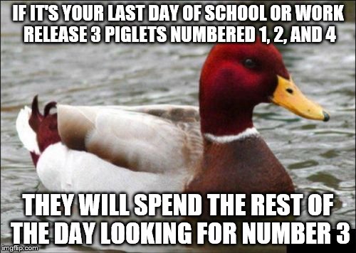 Malicious Advice Mallard Meme | IF IT'S YOUR LAST DAY OF SCHOOL OR WORK RELEASE 3 PIGLETS NUMBERED 1, 2, AND 4 THEY WILL SPEND THE REST OF THE DAY LOOKING FOR NUMBER 3 | image tagged in memes,malicious advice mallard,piglets | made w/ Imgflip meme maker