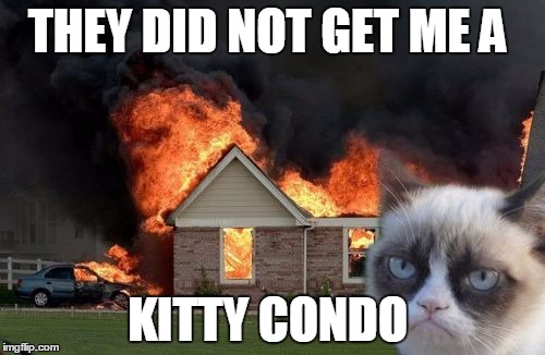 Burn Kitty | THEY DID NOT GET ME A KITTY CONDO | image tagged in memes,burn kitty | made w/ Imgflip meme maker