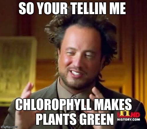 Ancient Aliens | SO YOUR TELLIN ME CHLOROPHYLL MAKES PLANTS GREEN | image tagged in memes,ancient aliens | made w/ Imgflip meme maker