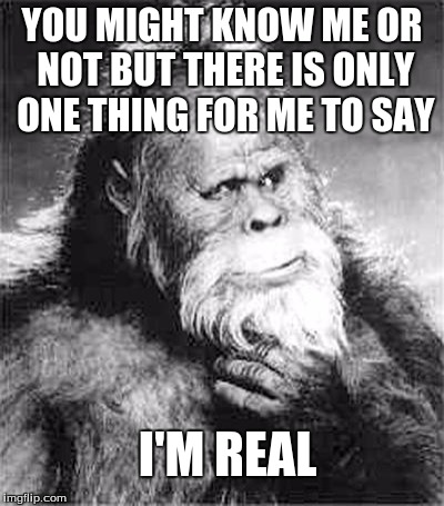 Bigfoot | YOU MIGHT KNOW ME OR NOT BUT THERE IS ONLY ONE THING FOR ME TO SAY I'M REAL | image tagged in bigfoot | made w/ Imgflip meme maker