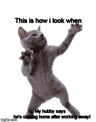Happy Dance Cat | This is how i look when My hubby says                  he's coming home after working away! | image tagged in happy dance cat | made w/ Imgflip meme maker