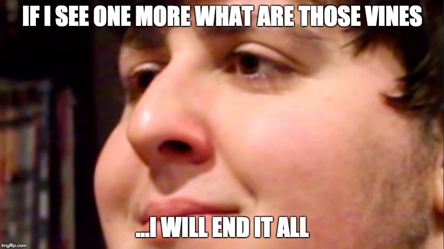 Jontron internal screaming | IF I SEE ONE MORE WHAT ARE THOSE VINES ...I WILL END IT ALL | image tagged in jontron internal screaming | made w/ Imgflip meme maker