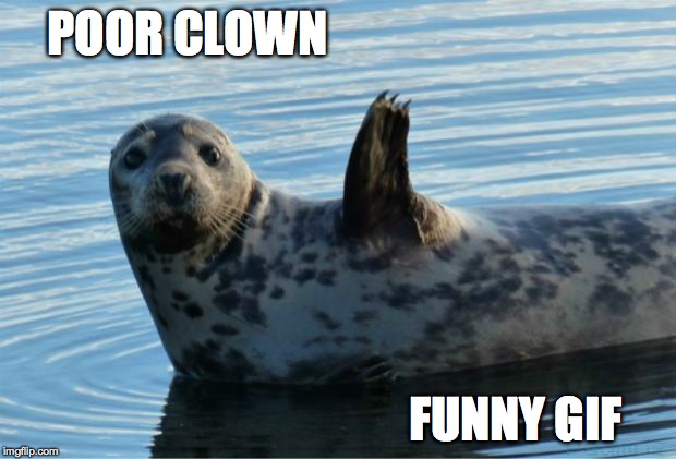 Seal | POOR CLOWN FUNNY GIF | image tagged in seal | made w/ Imgflip meme maker