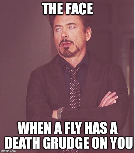 Flies suck | THE FACE WHEN A FLY HAS A DEATH GRUDGE ON YOU | image tagged in memes,face you make robert downey jr | made w/ Imgflip meme maker