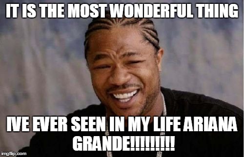 Yo Dawg Heard You Meme | IT IS THE MOST WONDERFUL THING IVE EVER SEEN IN MY LIFE
ARIANA GRANDE!!!!!!!!! | image tagged in memes,yo dawg heard you | made w/ Imgflip meme maker