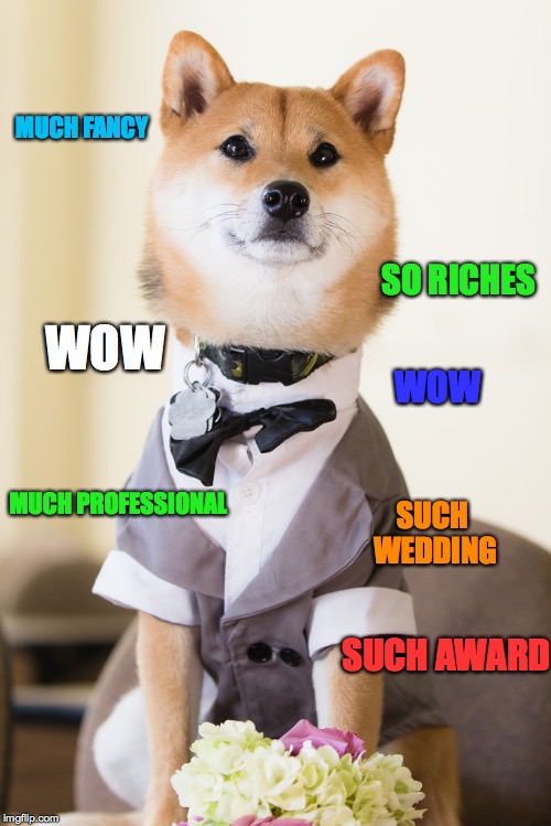 SO RICHES MUCH FANCY SUCH WEDDING MUCH PROFESSIONAL SUCH AWARD WOW WOW | image tagged in doge | made w/ Imgflip meme maker