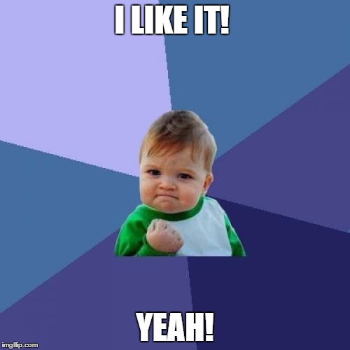 Success Kid | I LIKE IT! YEAH! | image tagged in memes,success kid | made w/ Imgflip meme maker