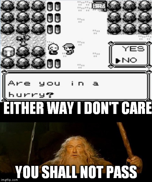 This one got me so angry the 1st time i played. | EITHER WAY I DON'T CARE YOU SHALL NOT PASS | image tagged in pokemon,gandalf | made w/ Imgflip meme maker