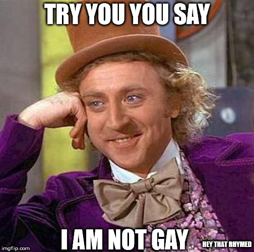 Creepy Condescending Wonka Meme | TRY YOU YOU SAY I AM NOT GAY HEY THAT RHYMED | image tagged in memes,creepy condescending wonka | made w/ Imgflip meme maker