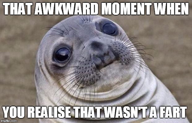 Awkward Moment Sealion | THAT AWKWARD MOMENT WHEN YOU REALISE THAT WASN'T A FART | image tagged in memes,awkward moment sealion | made w/ Imgflip meme maker